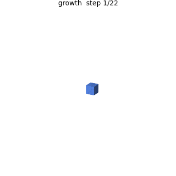 A creature shape growing from a single seed voxel, step by step, under the shared local update rule