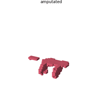 The grown creature has a chunk cut away, then the same local rule regrows the missing part back to the target shape