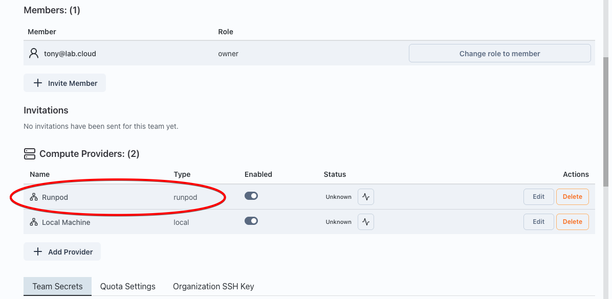 Team Setting after adding Runpod Provider