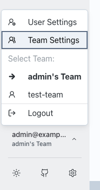 Team Settings in the sidebar